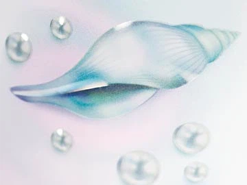 product-360-270 product-360-270